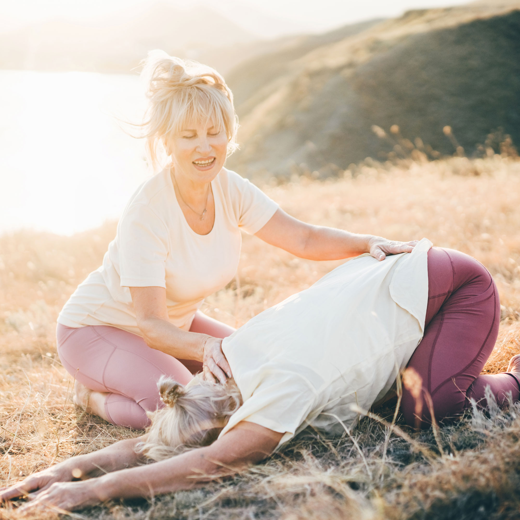 Inner Support for Practitioners